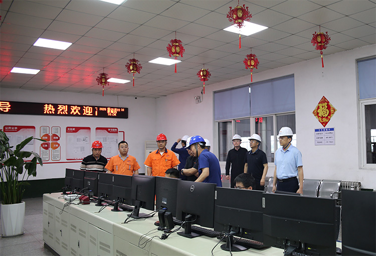 河北省高碑店市市委領導賈偉斌一行來公司考察指導